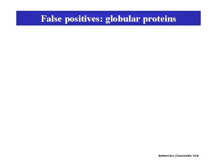 False positives: globular proteins Burkhard Rost (Columbia New York) 