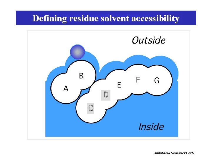 Defining residue solvent accessibility Burkhard Rost (Columbia New York) 