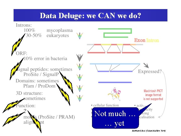 Data Deluge: we CAN we do? Not much … … yet Burkhard Rost (Columbia