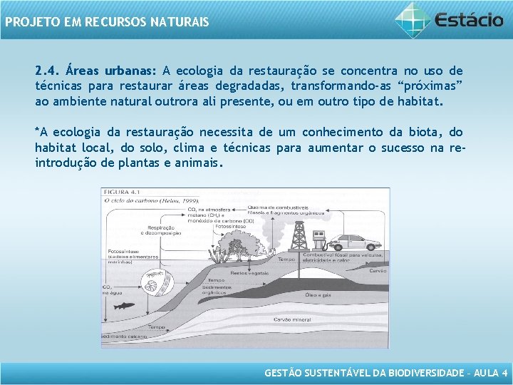 PROJETO EM RECURSOS NATURAIS 2. 4. Áreas urbanas: A ecologia da restauração se concentra