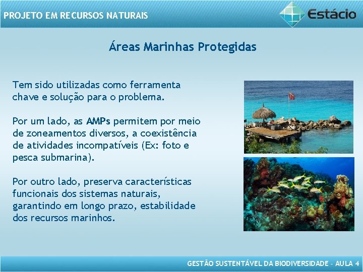 PROJETO EM RECURSOS NATURAIS Áreas Marinhas Protegidas Tem sido utilizadas como ferramenta chave e