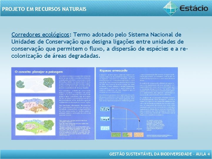 PROJETO EM RECURSOS NATURAIS Corredores ecológicos: Termo adotado pelo Sistema Nacional de Unidades de