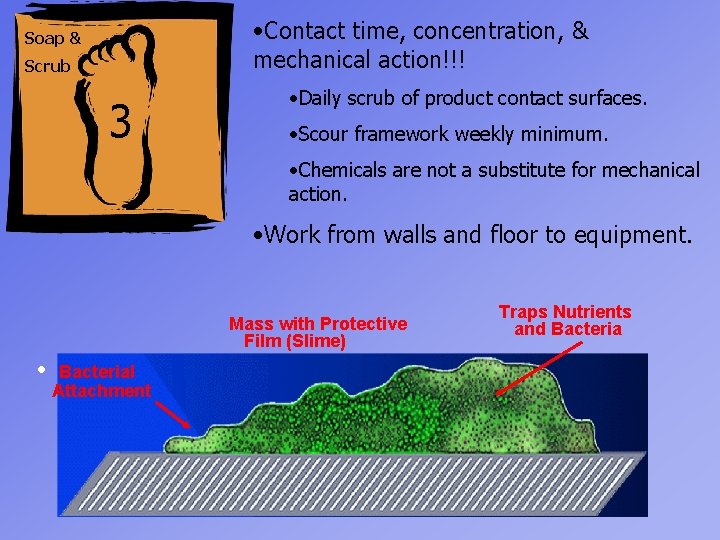  • Contact time, concentration, & mechanical action!!! Soap & Scrub 3 • Daily