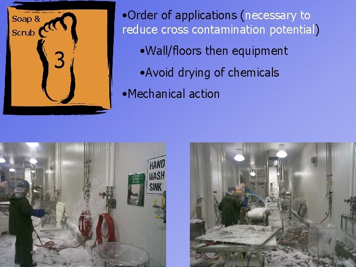  • Order of applications (necessary to reduce cross contamination potential) Soap & Scrub