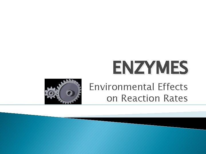 ENZYMES Environmental Effects on Reaction Rates ENZYMES Environmental Effects on Reaction Rates