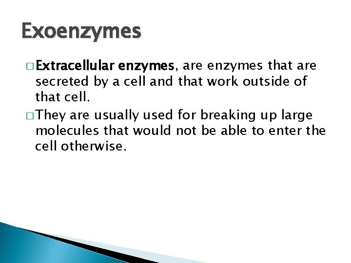 Exoenzymes � Extracellular enzymes, are enzymes that are secreted by a cell and that Exoenzymes � Extracellular enzymes, are enzymes that are secreted by a cell and that