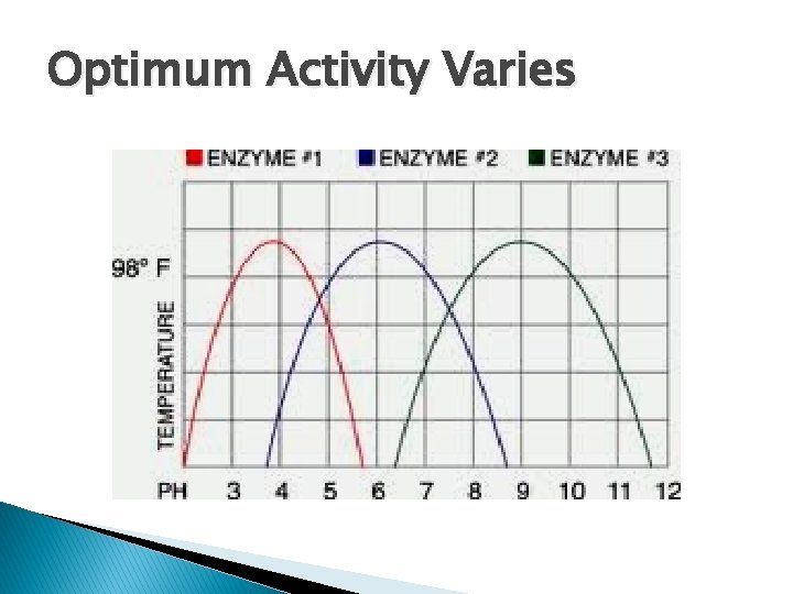 Optimum Activity Varies Optimum Activity Varies