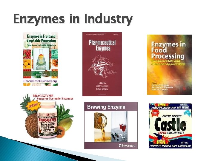 Enzymes in Industry Enzymes in Industry