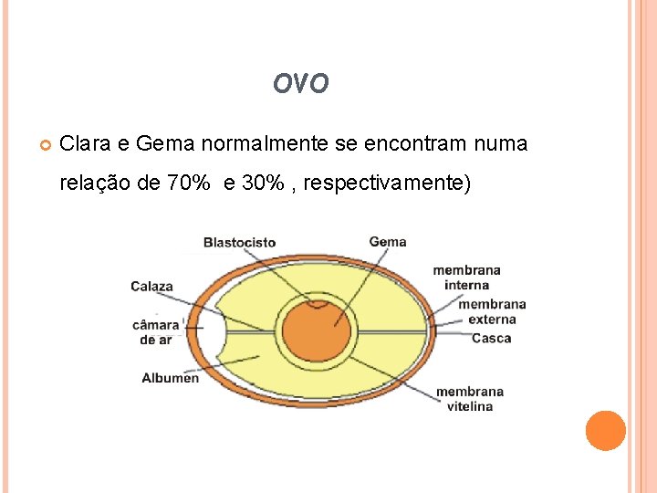 OVO Clara e Gema normalmente se encontram numa relação de 70% e 30% ,