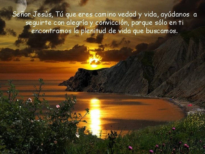 Señor Jesús, Tú que eres camino vedad y vida, ayúdanos a seguirte con alegría