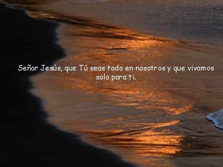 Señor Jesús, que Tú seas todo en nosotros y que vivamos solo para ti.