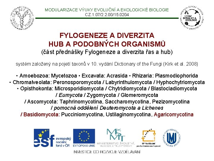 MODULARIZACE VÝUKY EVOLUČNÍ A EKOLOGICKÉ BIOLOGIE CZ. 1. 07/2. 2. 00/15. 0204 FYLOGENEZE A