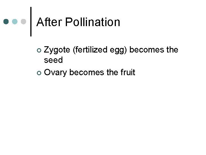 After Pollination Zygote (fertilized egg) becomes the seed ¢ Ovary becomes the fruit ¢