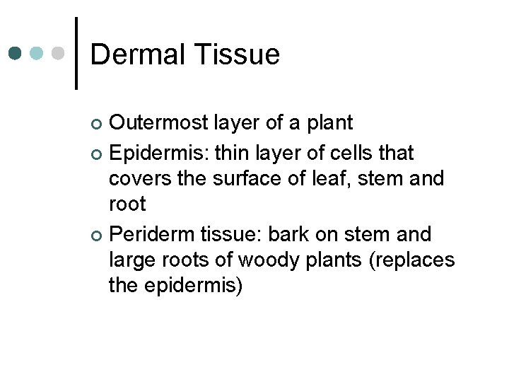 Dermal Tissue Outermost layer of a plant ¢ Epidermis: thin layer of cells that