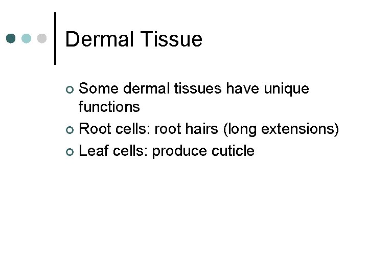 Dermal Tissue Some dermal tissues have unique functions ¢ Root cells: root hairs (long