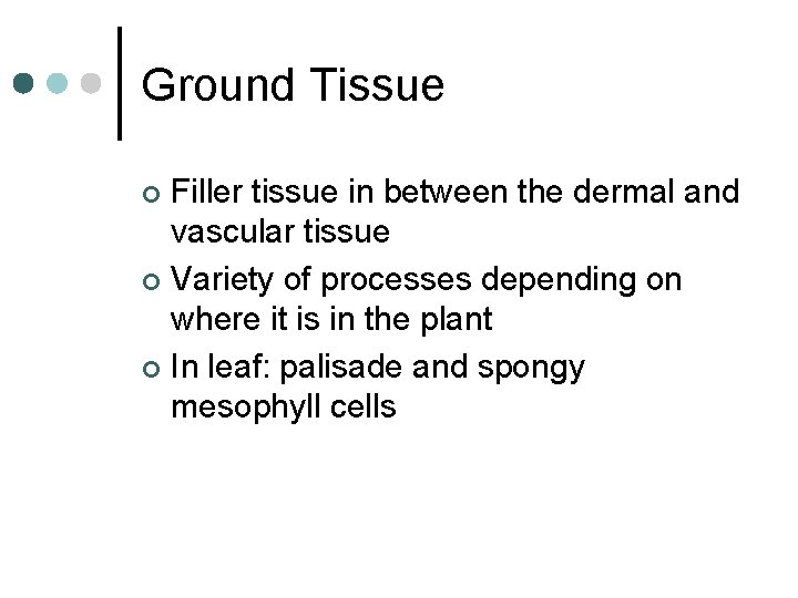 Ground Tissue Filler tissue in between the dermal and vascular tissue ¢ Variety of