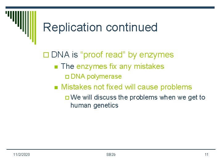 Replication continued o DNA is “proof read” by enzymes n The enzymes fix any