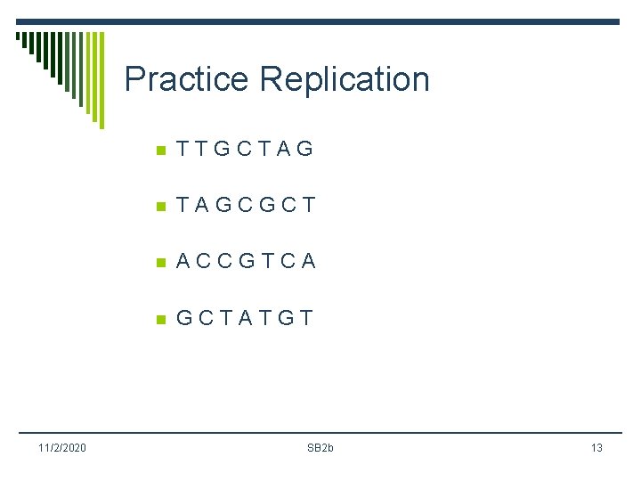 Practice Replication 11/2/2020 n TTGCTAG n TAGCGCT n ACCGTCA n GCTATGT SB 2 b