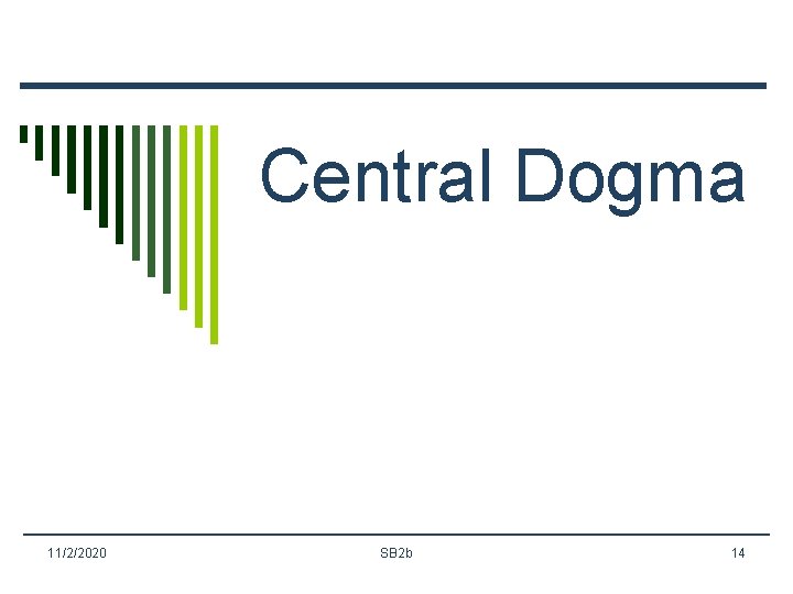Central Dogma 11/2/2020 SB 2 b 14 