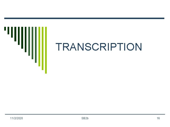 TRANSCRIPTION 11/2/2020 SB 2 b 16 