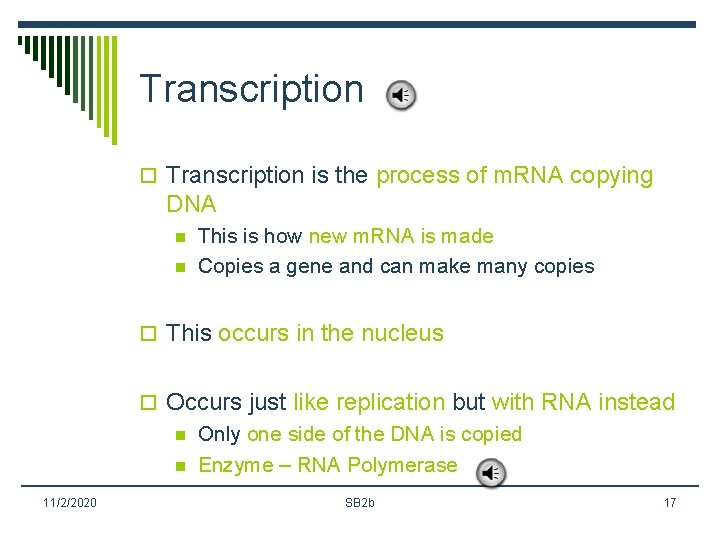 Transcription o Transcription is the process of m. RNA copying DNA n n This