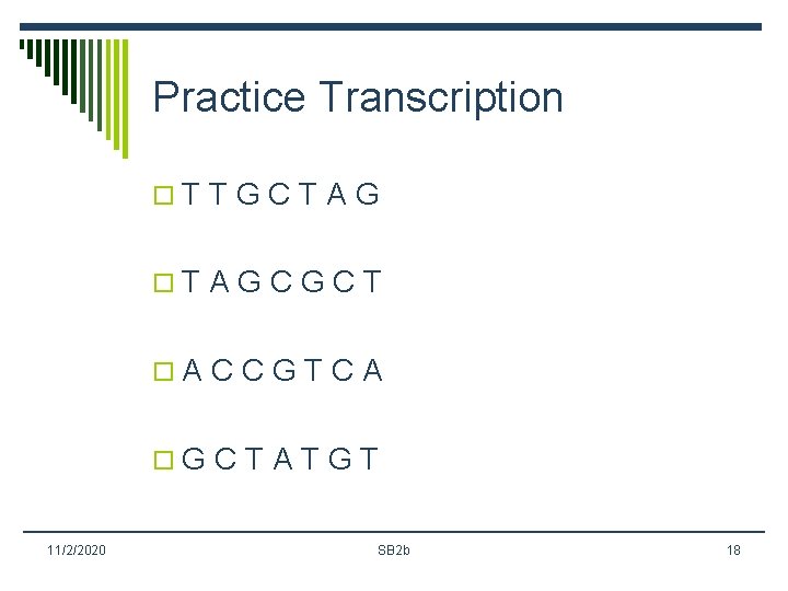 Practice Transcription o. T T G C T A G o. T A G