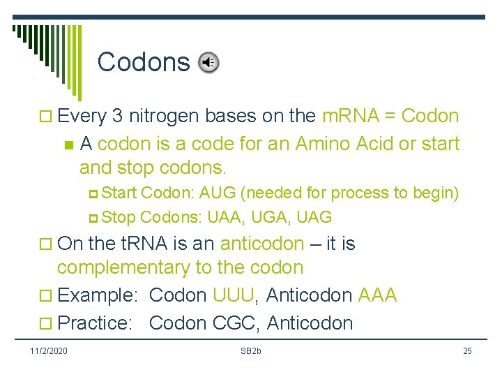 Codons o Every 3 nitrogen bases on the m. RNA = Codon n A