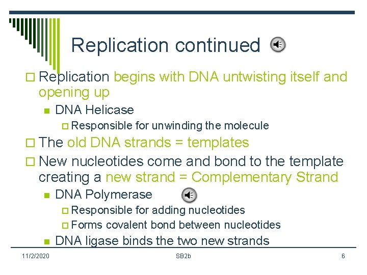 Replication continued o Replication begins with DNA untwisting itself and opening up n DNA