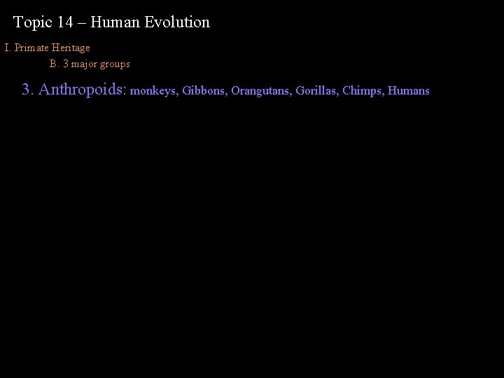 Topic 14 – Human Evolution I. Primate Heritage B. 3 major groups 3. Anthropoids: