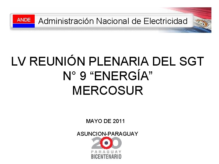 ANDE Administración Nacional de Electricidad LV REUNIÓN PLENARIA DEL SGT N° 9 “ENERGÍA” MERCOSUR