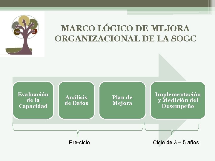 MARCO LÓGICO DE MEJORA ORGANIZACIONAL DE LA SOGC Evaluación de la Capacidad Análisis de