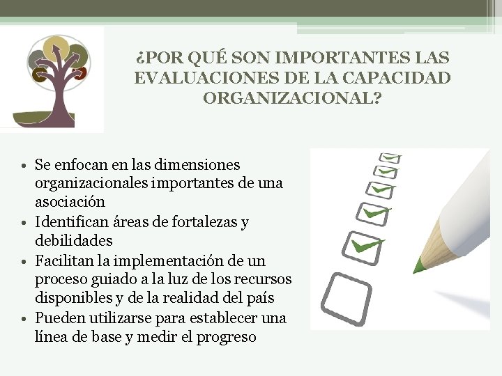 ¿POR QUÉ SON IMPORTANTES LAS EVALUACIONES DE LA CAPACIDAD ORGANIZACIONAL? • Se enfocan en