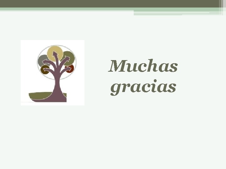 Muchas gracias 