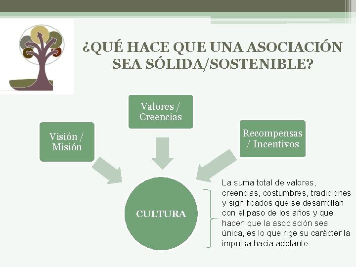 ¿QUÉ HACE QUE UNA ASOCIACIÓN SEA SÓLIDA/SOSTENIBLE? Valores / Creencias Recompensas / Incentivos Visión