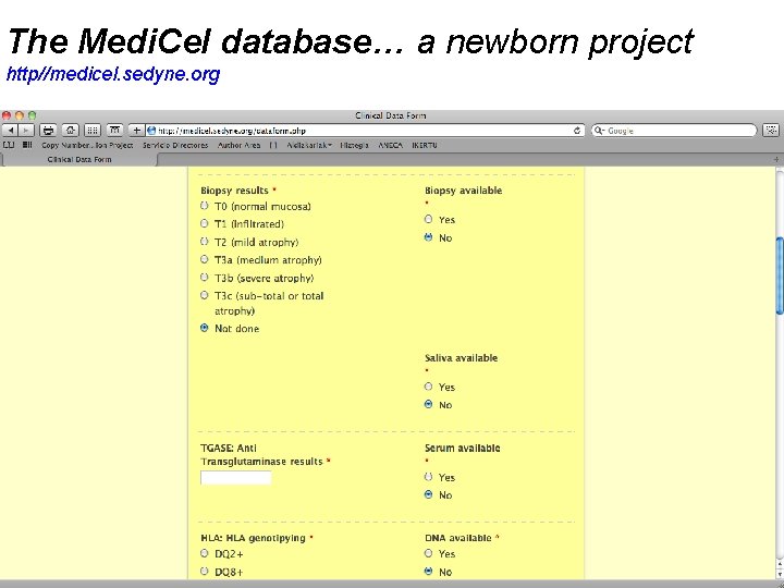 The Medi. Cel database… a newborn project http//medicel. sedyne. org 