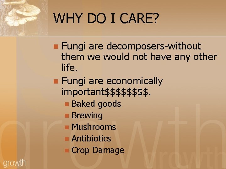 WHY DO I CARE? Fungi are decomposers-without them we would not have any other