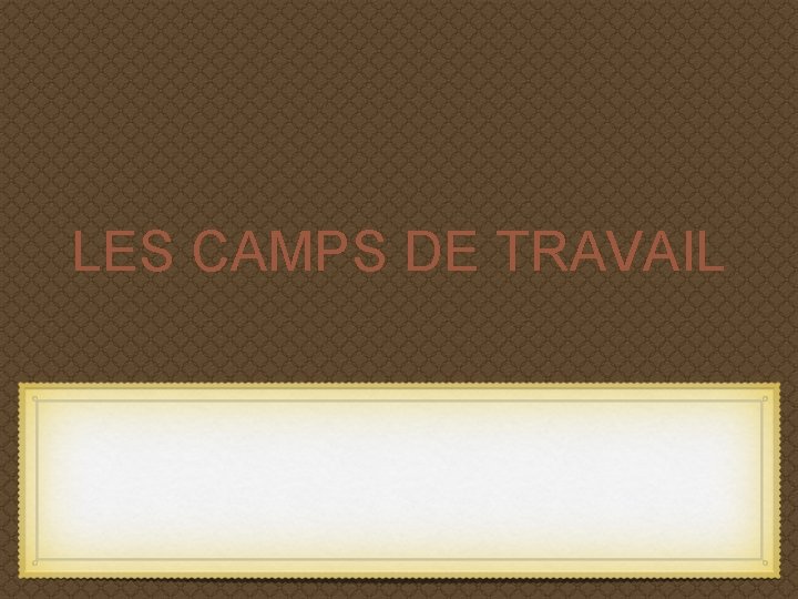 LES CAMPS DE TRAVAIL 