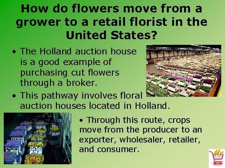 How do flowers move from a grower to a retail florist in the United