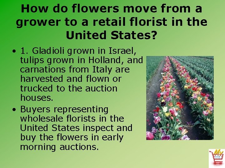 How do flowers move from a grower to a retail florist in the United