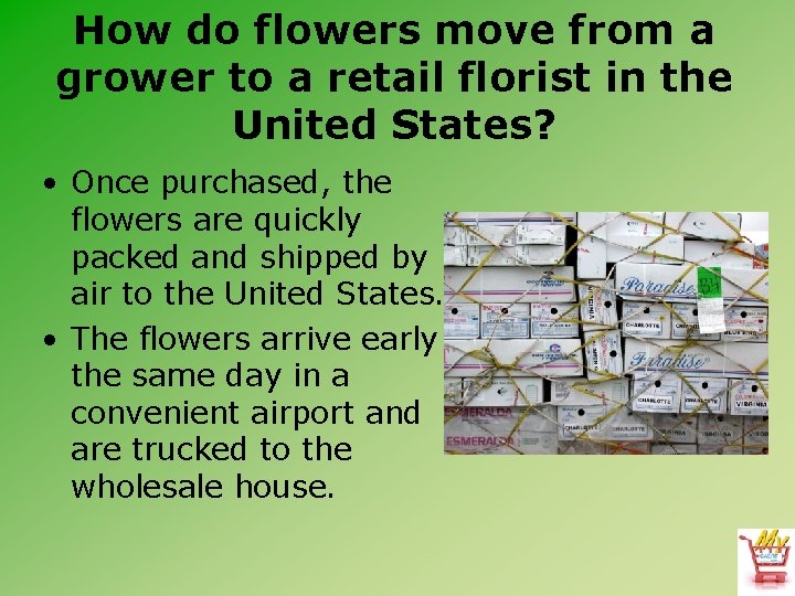 How do flowers move from a grower to a retail florist in the United How do flowers move from a grower to a retail florist in the United
