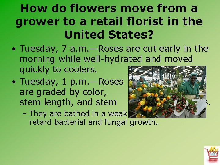 How do flowers move from a grower to a retail florist in the United