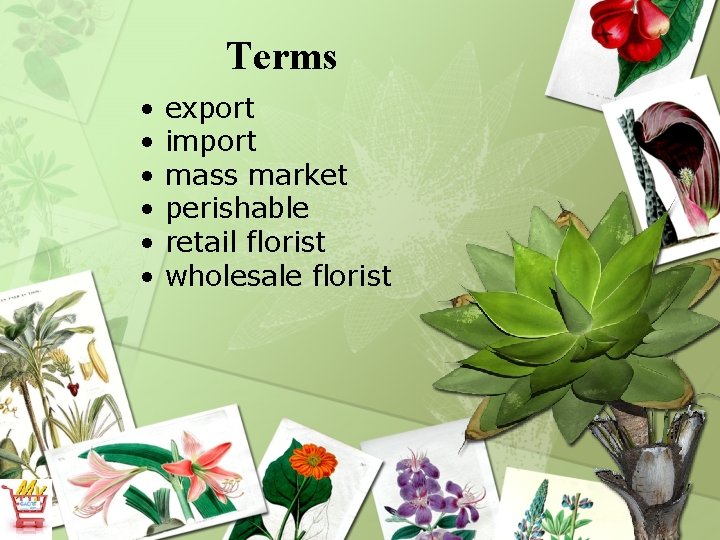 Terms • • • export import mass market perishable retail florist wholesale florist 