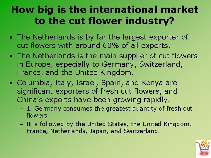 How big is the international market to the cut flower industry? • The Netherlands