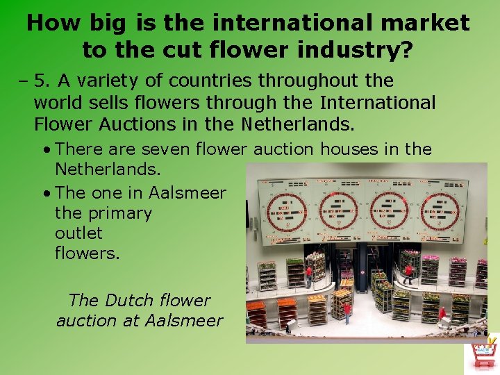 How big is the international market to the cut flower industry? – 5. A