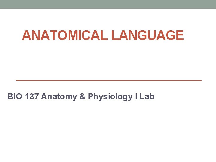 ANATOMICAL LANGUAGE BIO 137 Anatomy & Physiology I Lab 