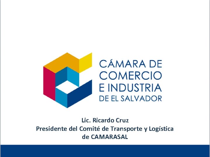 Lic. Ricardo Cruz Presidente del Comité de Transporte y Logística de CAMARASAL 