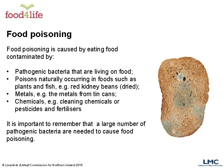 Food poisoning is caused by eating food contaminated by: • Pathogenic bacteria that are