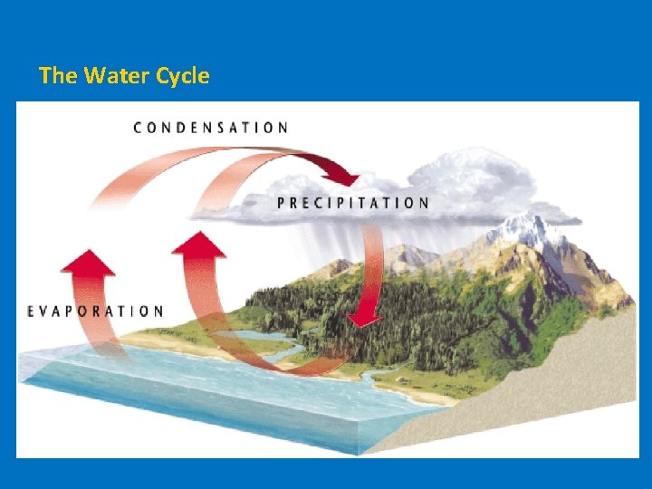 The Water Cycle 