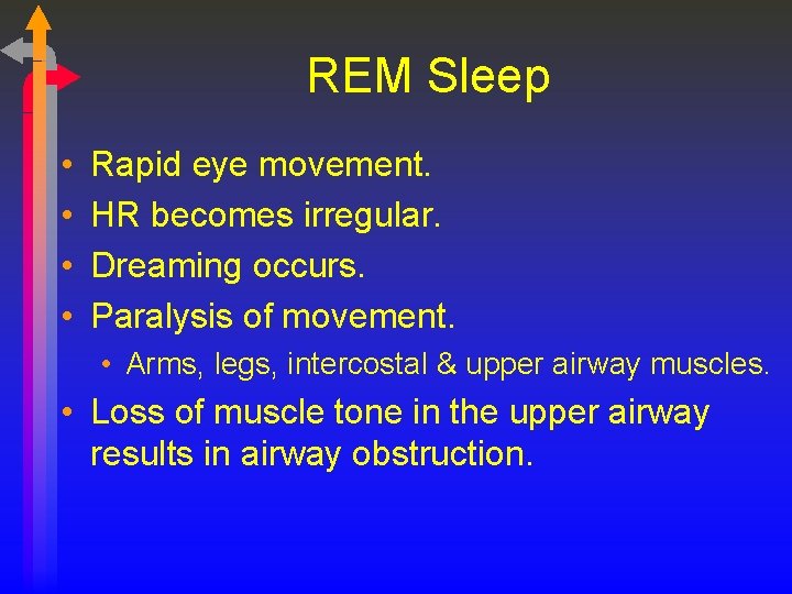 REM Sleep • • Rapid eye movement. HR becomes irregular. Dreaming occurs. Paralysis of