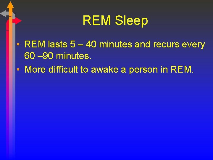 REM Sleep • REM lasts 5 – 40 minutes and recurs every 60 –